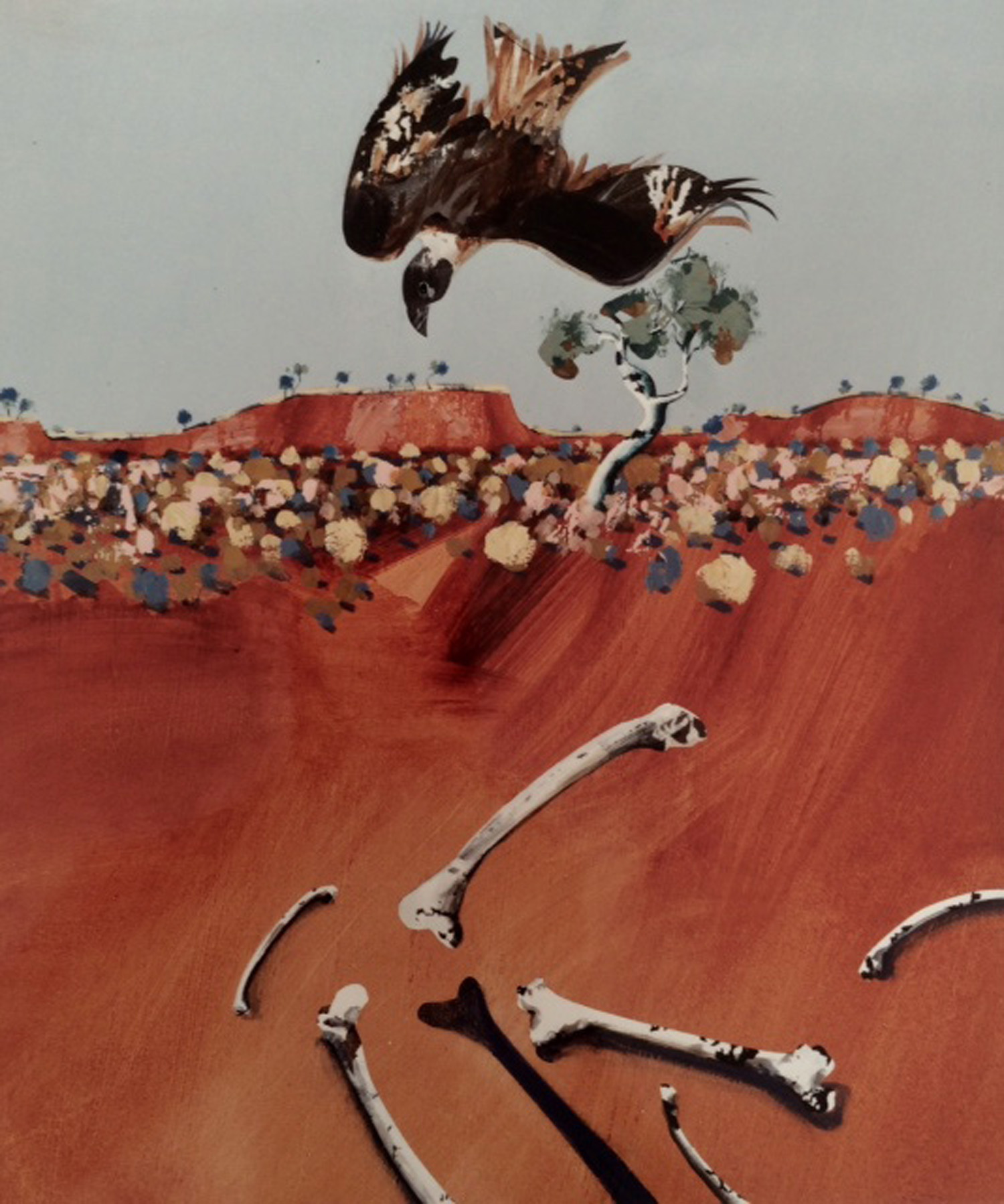 Jules Sher Bird and Falling Bone The Hamersleys 1989