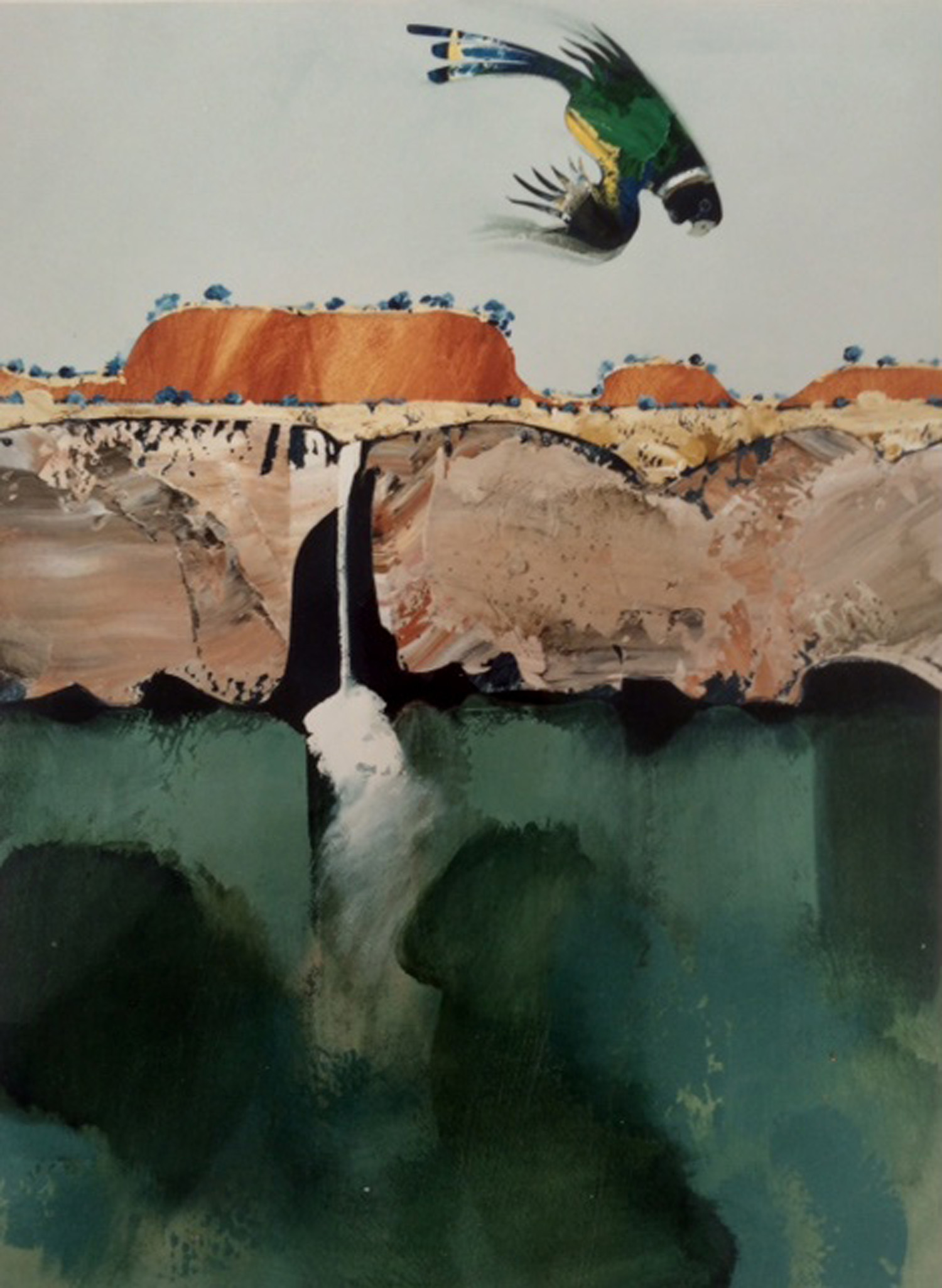 Jules Sher Bird over Waterfall Dales Gorge 1989